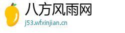 八方风雨网